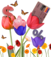 Spring Credit Assess